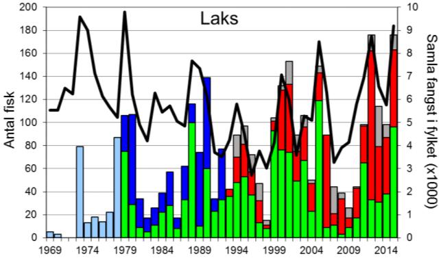 Skjel 2015 FANGST OG SKJELPRØVAR I SOGNDALSELVA Fangststatistikk I perioden 1969-2015 var gjennomsnittleg årsfangst 71 laks (snittvekt 4,4 kg), og 29 sjøaure (snittvekt 1,8 kg).