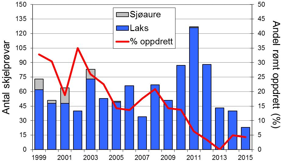 Etter gode fangstar av sjøaure midt på 90-talet har det stort sett gått nedover, og dei 7 siste åra er det ikkje registrert fangst av sjøaure.