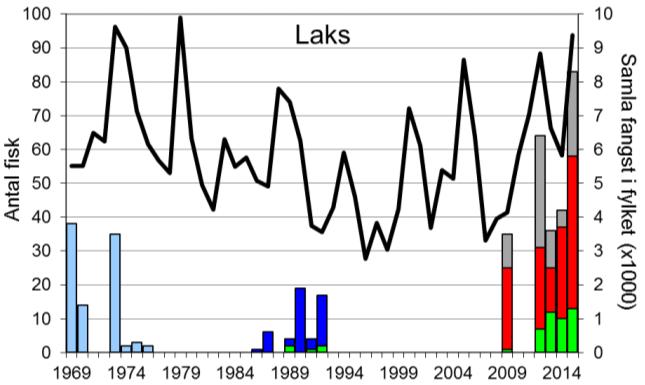 Skjel 2015 FANGST OG SKJELPRØVAR I FORTUNSELVA Fangststatistikk I perioden 1969-2015 var gjennomsnittleg årsfangst 12 laks (snittvekt 5,2 kg), og 107 sjøaure (snittvekt 2,1 kg).