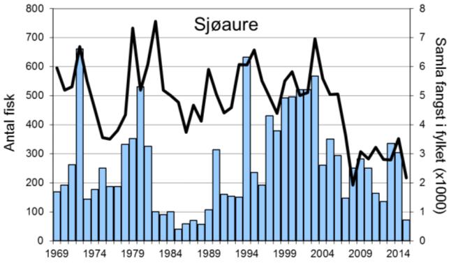 Utviklinga sidan seint på 1990-talet er delvis den same som ein har sett i resten av fylket (figur 1, linjer), men med enkelte unntak.