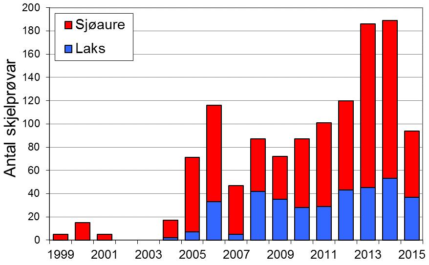 Laksefangstane har vore relativt høge etter 2007, i perioden 2008-15 er snittet 78 laks per år. I 2015 vart det fanga 65 laks (snittvekt 3,5 kg).
