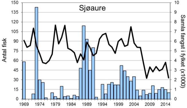 Laksefangstane i Vikja har i periodar variert nokolunde som i resten av fylket dei siste 20 åra, men med klare avvik enkelte år (figur 1, linje).