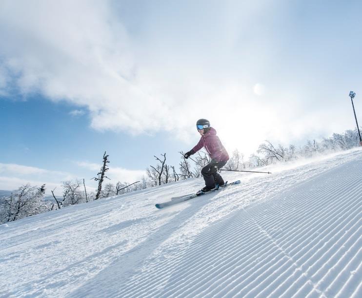 CARVINGKURSET Små forandringer i din skiteknikk kan gi deg maksimal opplevelse - la oss inspirere og utvikle deg på ski.