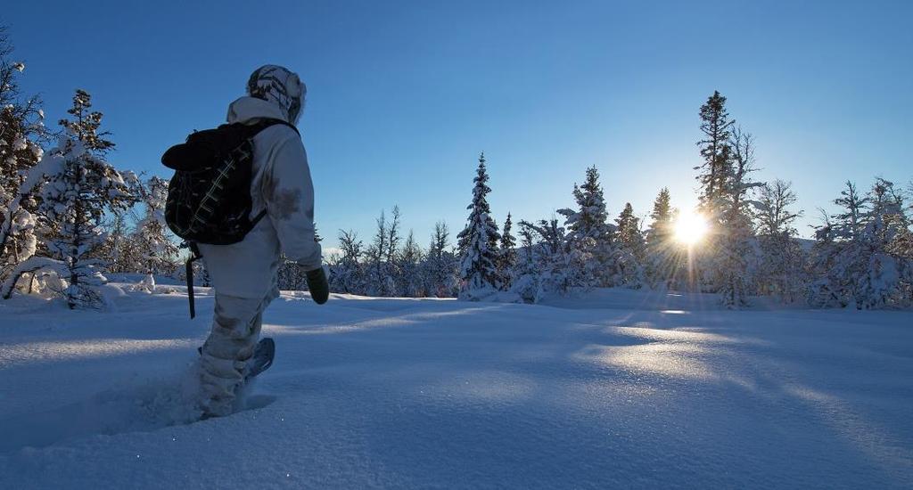 TRUGETUR Er du glad i fjell og natur, vil dette være den perfekte måten å oppleve vinterfjellet på. Magisk! Truger er en eldgammel måte å ferdes på i vinterstid.