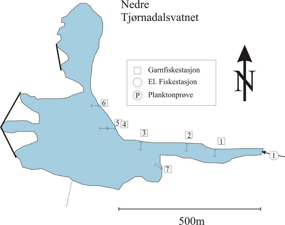 88 879 Nerdre Tjørnadalsvatnet Vannstand (m) 878 877 876 875 Oppv/gytep Vanns tand HRV LRV....4..4.5.4.7.4.9.4..4..5..5.5.5.7.5.9.5..5..6..6.5.6.7.6.9.6..6..7..7.5.7.7.7 Dato.9.7..7..8..8.5.8.7.8.9.8..8..9..9.5.9.7.9.9.9..9.....5..7. Figur 4.