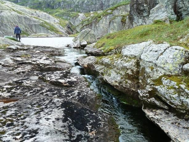 Aldersfordelingen for auren i Midtre Goddalsvatnet viser at fisken stammet fra årsklassen fra perioden til 8 (figur 6.4). Årsklassene fra, 4 og 6 er tallrike.