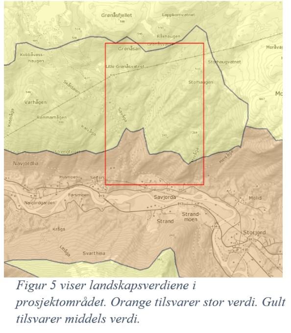 skal vurdere om de økologiske forholdene i vannforekomsten vil endres negativt som følge av kraftutbyggingen, og om miljømålet vil nås (vannforskriften 12).