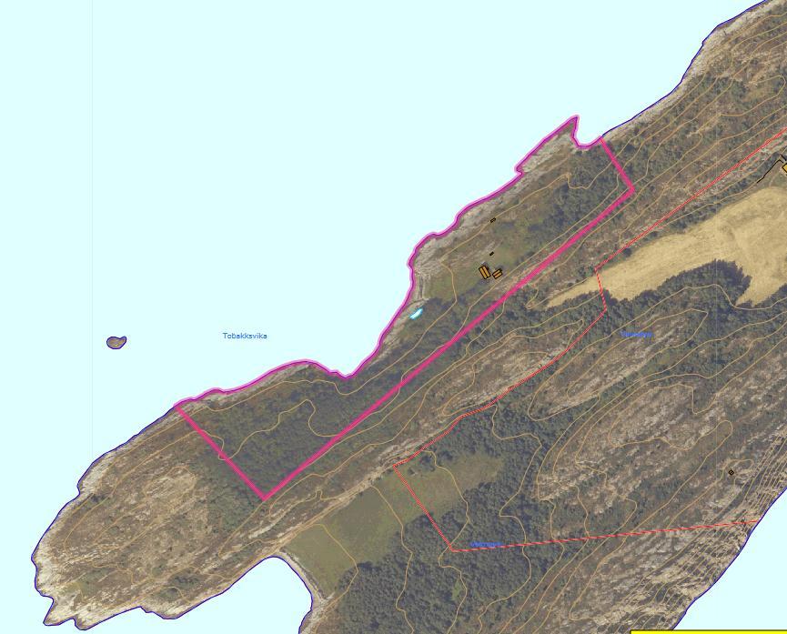 5.4 Offentlige friluftsområder 5.4.1 Tobakksvika, Voknøya Status: I dette området ligger husmannsplassen Tobakksvika, det er en typisk fiskerheim (se vedlegg for bilder).