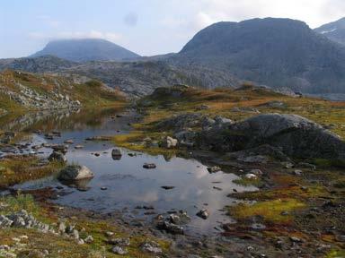 I tillegg kommer bestilling på totalt 46 ukesverk for B-oppgaver fordelt slik i parkene: Saltfjellet Svartisen np m/landskapsvernområder og Storlia naturreservat 21,2 ukesverk Rago np 7,9 ukesverk