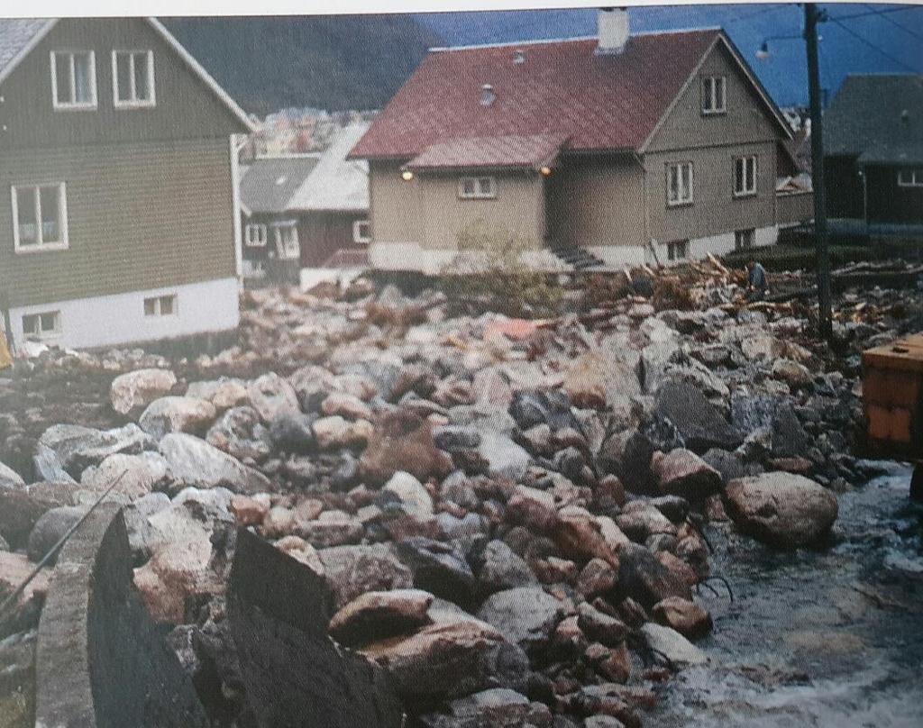 Sommarflaum i Lærdal og