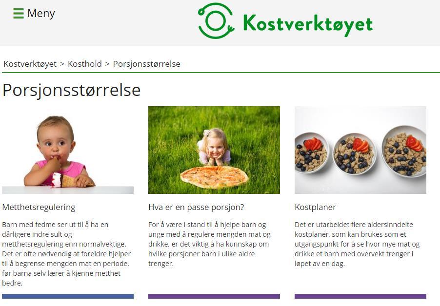 KOSTVERKTØYET - FELLES KOSTHOLD TYPE MAT KOSTSIRKELEN MATVAREDEKLARASJONER KOSEMAT