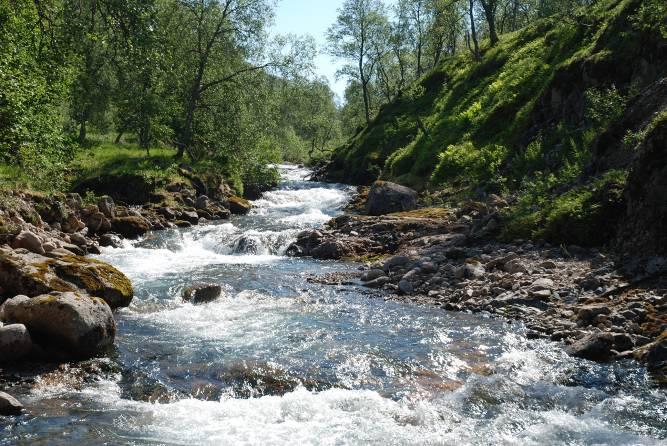 Rapport 2007-06 Undersøkelser i Moelva, Kvæfjord kommune i forbindelse med planer om elvekraftverk Innledning Moelva i Kvæfjord har et nedslagsfelt på ca. 7.9 km 2, og har utløp i Gullesfjorden.