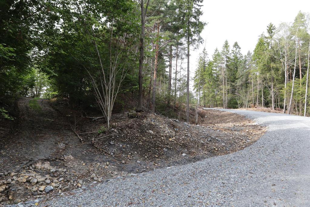 Side 4 av 7 Det er ikke vurdert at lokaliteten Brentåsen SØ reduseres i verdi fra A til B som følge av inngrepet da lokalitetene er stor og andre delområder på lokaliteten har stort potensial for