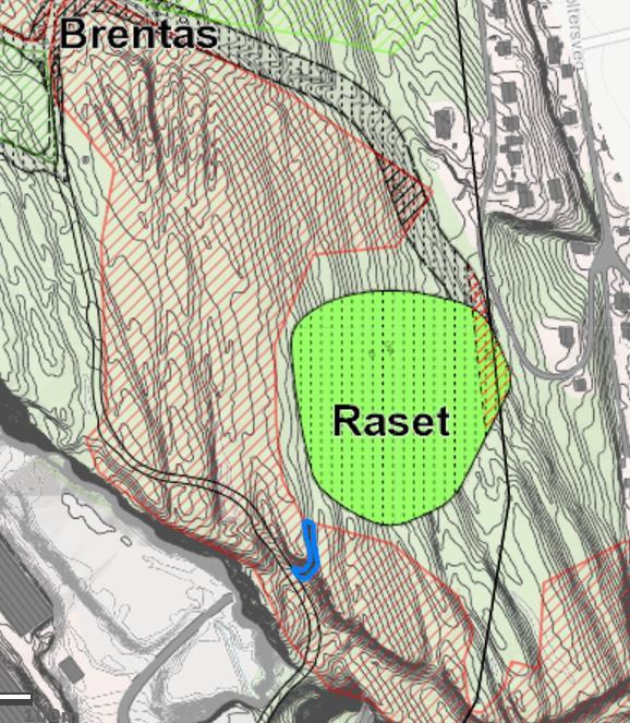 Side 5 av 7 Figur 4. Ny anleggsveg inn til Raset (blå markering). Kalkfuruskogen er urterik med blant annet blåveis, mye liljekonvall, fingerstarr, skogbingel og rødflangre m.m. I tre- og busksjikt forekommer foruten mye hassel, også rogn, bjørk, krossved, leddved og berberis.