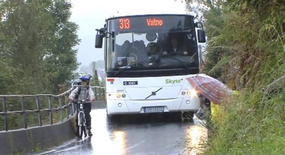 Om Seim skule: Trafikkplan for Seim skule Seim skule har 157 elevar og ca 25 tilsette og skulekrinsen dekker eit stort geografisk område med ulike trafikale utfordringar.