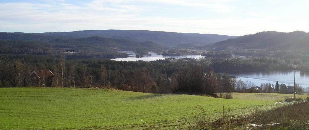 Kommunedelplan Vatnebrynvatnet 4 2.3 Naturmiljø Vatnebrynvatnet er med sine 1,8 km2 det største vannet i Lyngdalsvassdraget.