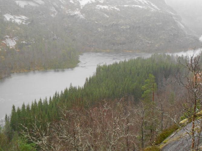 I tillegg til ståltråden som ble fjernet i år, står det fortsatt ca 50-60 armeringsjern i fjell og stein langs traseen (se bilde til høyre). Disse foreslås fjernet i 2012.