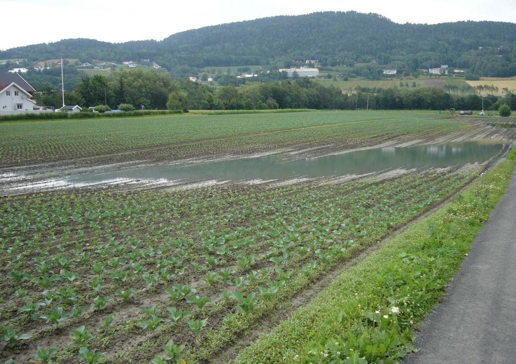 Fylkesmannen i Buskerud. Miljøtilskudd for jordbruket Trinn 2: Bedret jordstruktur i grønnsaker.
