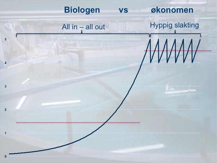 En biolog vil seie at all fisken må i vatnet samtidig, og stå uten håndtering fram til slakting, det gir best kontroll på fisken sitt miljø Og det prinsippet e blitt det vanlige i åpne anlegg Som