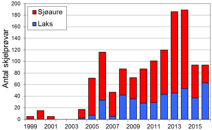 Sjøaurefangstane har hatt ei negativ utvikling etter 2003, sjølv om fangstane var relativt bra i 2013 og 2014.