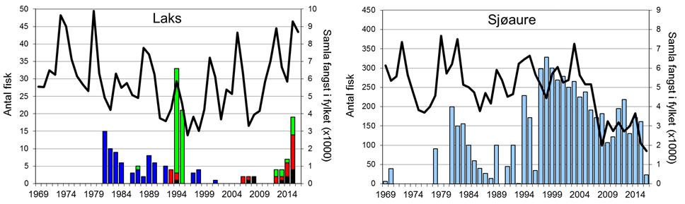 Skjel 2016 FANGST OG SKJELPRØVAR I JOSTEDØLA Fangststatistikk I perioden 1969-2016 var gjennomsnittleg årsfangst 150 sjøaurar (snittvekt 1,7 kg) og 5 laks (snittvekt 5,5 kg).