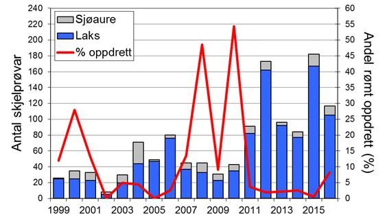 Skjel 2016 FANGST OG SKJELPRØVAR I SOGNDALSELVA Fangststatistikk I perioden 1969-2016 var gjennomsnittleg årsfangst 72 laks (snittvekt 4,4 kg), og 29 sjøaure (snittvekt 1,8 kg).