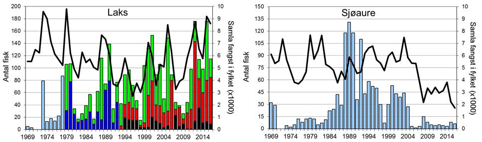 Sogndalselva (figur 1, stolpar). I 2016 vart det fanga 115 laks (snittvekt 4,1 kg). Sjøaurefangstane har vore låge etter 2004, i 2016 vart det berre fanga 6 sjøaure.