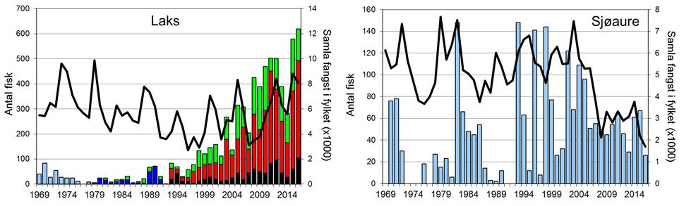 Skjel 2016 FANGST OG SKJELPRØVAR I FLEKKEELVA Fangststatistikk I perioden 1969-2016 var gjennomsnittleg årsfangst 149 laks (snittvekt 4,7 kg) og 55 sjøaurar (snittvekt 0,7 kg).