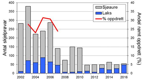 Skjel 2016 Fangststatistikk FANGST OG SKJELPRØVAR I JØLSTRA I perioden 1969-1992 var gjennomsnittleg årsfangst 462 laks med snittvekt på 4,8 kg, og 387 sjøaurar med snittvekt på 1,3 kg.