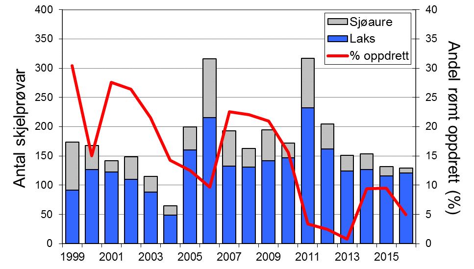 Fangstane av sjøaure har variert, men hatt ein minkande tendens, særleg dei siste åra. I 2016 vart det fanga 28 sjøaure, den lågaste fangsten som er registrert.
