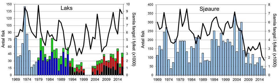 Dette er av dei betre resultata sidan 1990-talet (figur 1, stolpar). Det vart fanga 36 sjøaure i 2016 (snittvekt 2,2 kg).