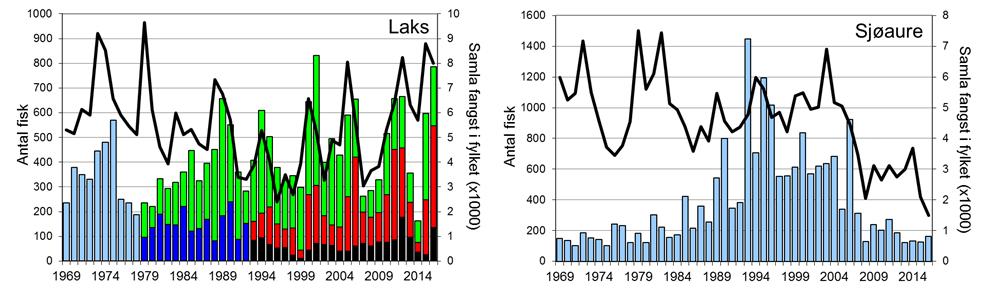 Skjel 2016 Fangststatistikk FANGST OG SKJELPRØVAR I EIDSELVA Årlege laksefangstar har stort sett variert mellom 300 og 500 fisk, sjølv om fangstane enkeltår har vore høgare (figur 1, stolpar).