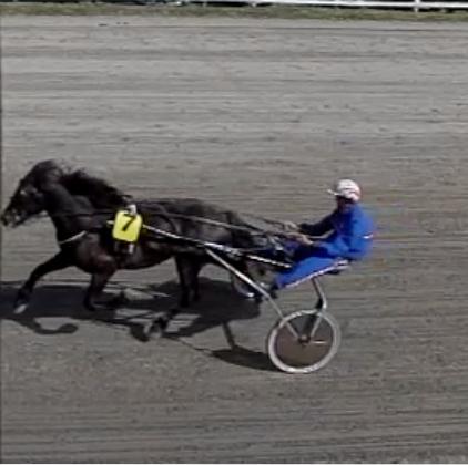 Løp 1 2-årsløp kaldblods 1 Nr 7 Ekeld 2 Malin Wik Gunnar Austevoll 1900 1.40,7 3:11,4 2 Nr 3 Mjølner Tora 2 Monica Sønstegård Nils Olav Holm 1900 1.