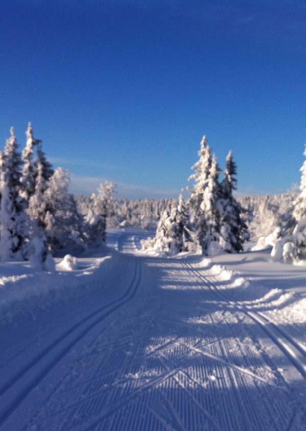 Ved Landetjern 12 minutter til Lillehammer sentrum -