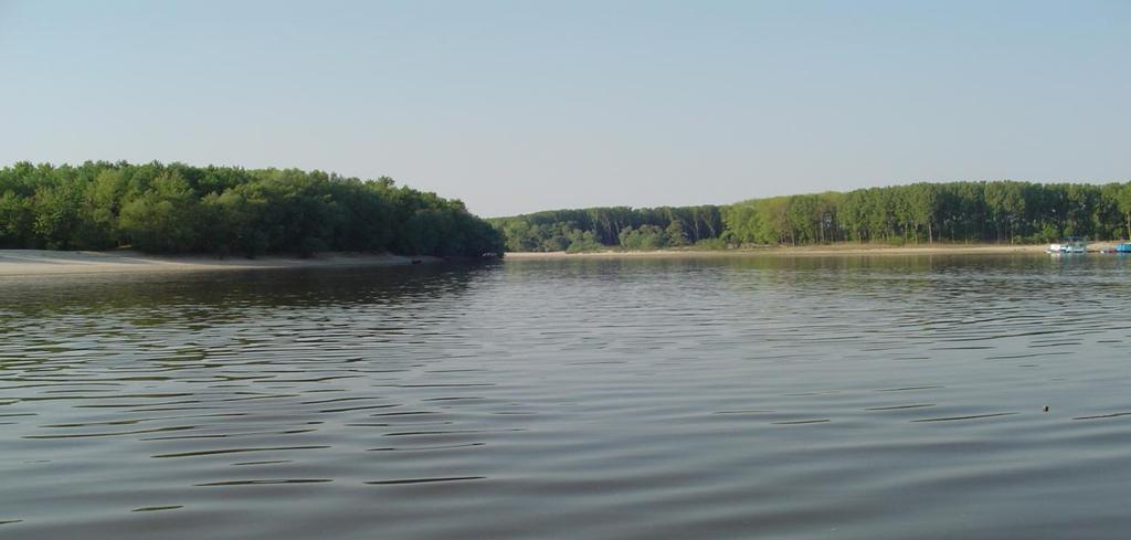 Dunărea Veche pe dreapta care închid între ele : Balta Ialomiţei sau Insula Mare a Ialomiţei. Reţeaua hidrografică a judeţului este tributară în totalitate fluviului Dunărea.