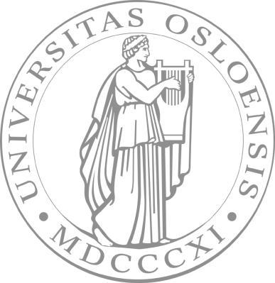 RAPPORT FRA ARKEOLOGISK UTGRAVING KULTURHISTORISK MUSEUM UNIVERSITETET I OSLO
