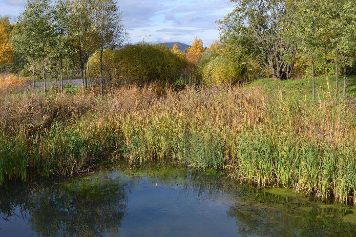 våtmarksområde