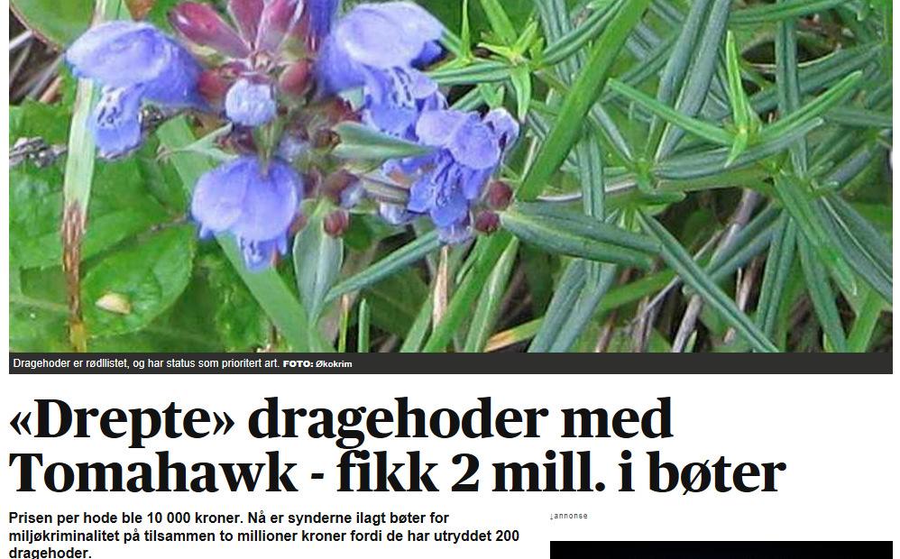 Dumt å overse