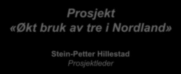 Stein-Petter