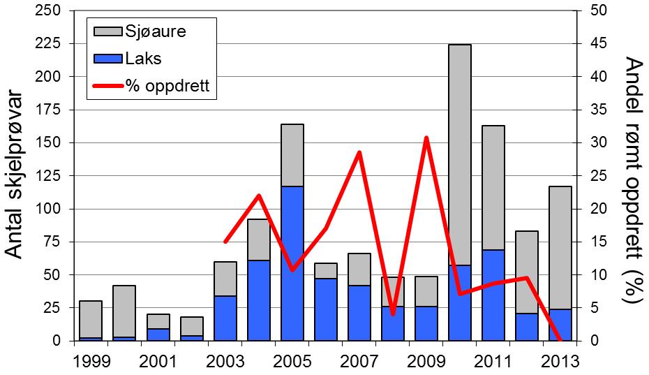 Etter at villaksen har vore freda sidan tidleg på 1990-talet, vart det opna for ordinært fiske i 2003. I 2012 og 2013 vart det fanga høvesvis 31 og 35 laks.