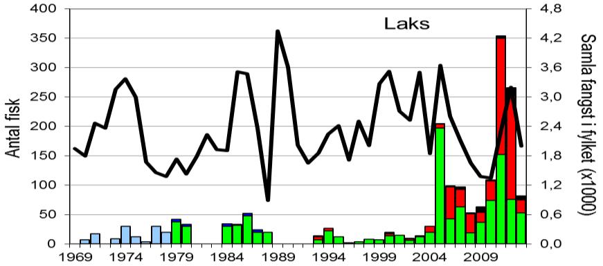 FANGST OG SKJELPRØVAR I USKEDALSELVA I perioden 1969-2004 vart det i gjennomsnitt fanga 20 laks per år (figur 1, stolpar).