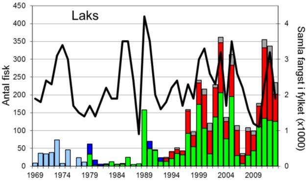 FANGST OG SKJELPRØVAR I DALEELVA I perioden 1969-2013 var gjennomsnittleg årsfangst 96 laks og 309 sjøaurar.