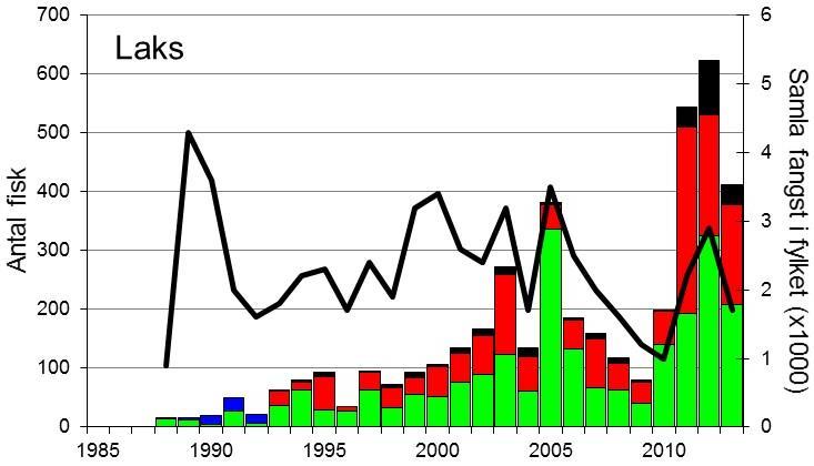 FANGST OG SKJELPRØVAR I STORELVA I ARNA I perioden 1988-2013 var gjennomsnittleg årsfangst 164 laks og 109 sjøaurar.