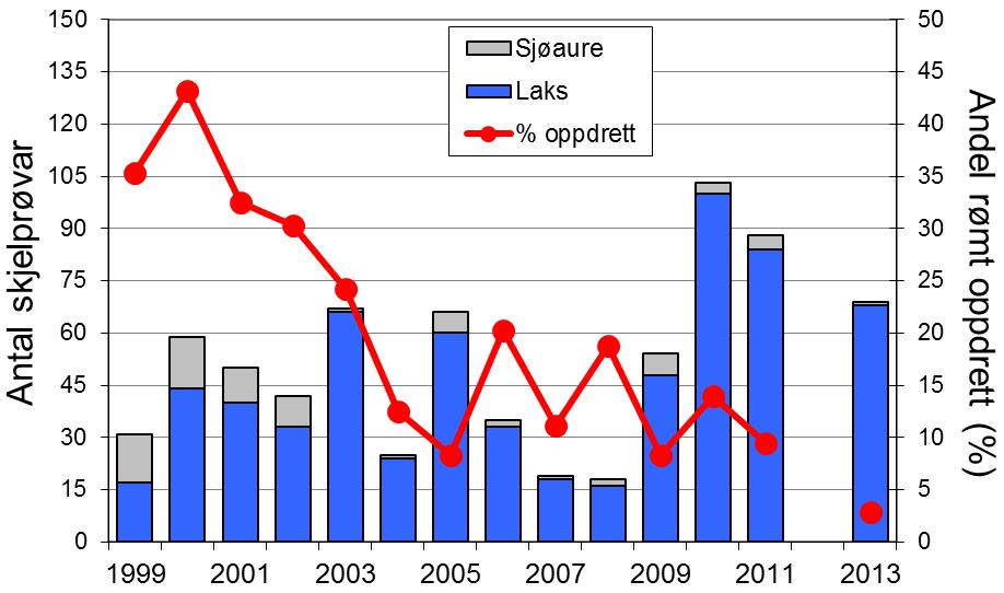 truleg frå Daleelva og Vosso. I 2009-12 vart 25-45 % av laksane og 25-65 % av sjøaurane sette ut att i elva, men i 2013 vart all fisk avliva. Gjenutsett fiske er inkludert i fangststatistikken.