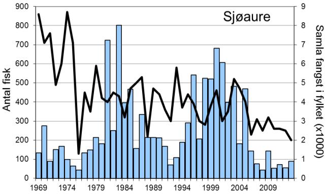 I 2013 vart det fanga 190 laks (snittvekt 3,6 kg), ein nedgang i høve til 2012, og eit av dei svakaste resultata sidan 1990-talet.