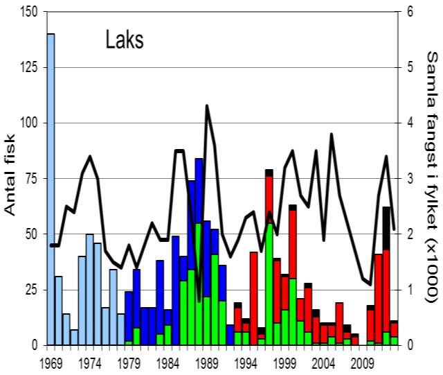 FANGST OG SKJELPRØVAR I GRANVINSELVA Snittfangst av sjøaure per år i perioden 1969-2013 har vore 746 (snittvekt 1,5 kg).