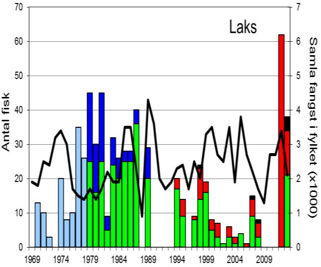 FANGST OG SKJELPRØVAR I OMVIKELVA I perioden 1969-1989 vart det i gjennomsnitt fanga 24 laks og 98 sjøaure per år (figur 1, stolpar).