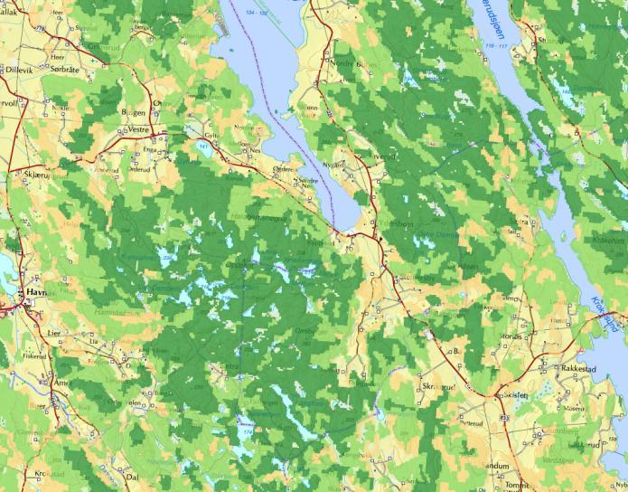 4. SAT-SKOG SAT-SKOG er et oversiktskart over skogressursene i Norge. Basert på bildedata fra jordobservasjonssatellittene Landsat 5 og 7.