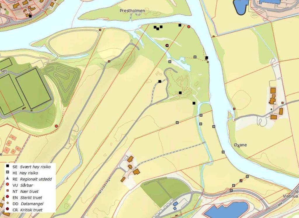 Området inneheld mykje gamal oreskog, både store gamle levande tre, og død ved i nedbrytingsfase. Inne i skogsområdet er det også mindre elveløp med varierande gjennomstrøyming på normale vasstandar.