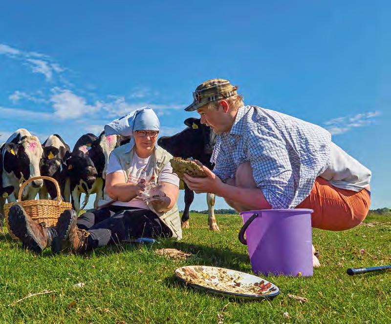 Rannaniidukohvri tegemine 2014. aasta suvel. Õppematerjale valmistavad ette Marika Kose ja Marten Kose, lehmad pakuvad moraalset tuge kõrge on muru või mitu kurvitsat seal elab.